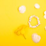 Reddybook Review: How This Digital Platform Enhances Learning & Connects with 11xplay